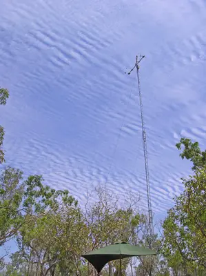 View of 23m tall mast above the woody savanna