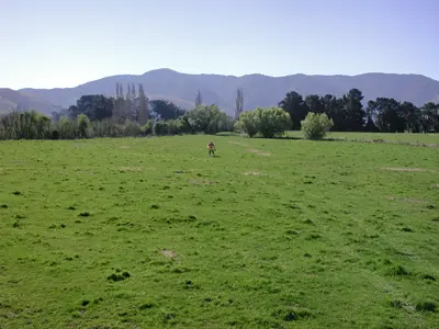 Cattle grazed pasture at time of instrument installation (12 Oct 2005)