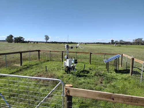 Yarramundi Irrigated Paddock site, view facing east with pivot irrigator and cattle in distance